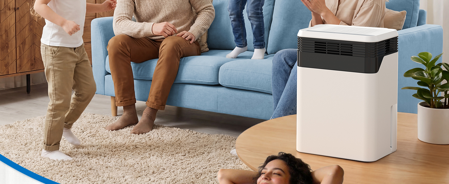 Dehumidifier