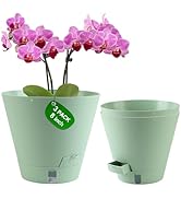 Pottiffe Self-Watering-Pots-for-Indoor-Plants, 8 Inch Flower Pots for Indoor Plants, 3 Packs Plas...