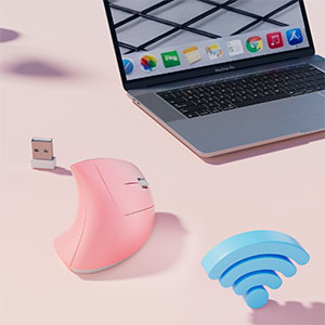 2.4G wireless connection