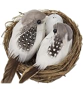 Myuiao 1Set Simulation Bird Nest with Bird and Eggs Decor,Fake Foam Feather Birds,Artificial Bird...