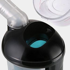 steamer for face