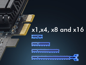 2-Port 2.5G Network Adapter