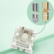 Baby Kangaroo 2.0 Keyboard Switches