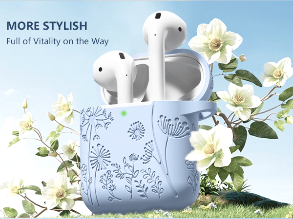 airpod case