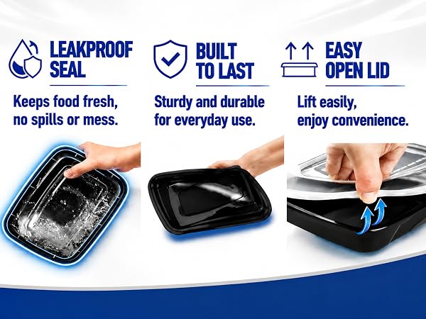 carry out containers for food