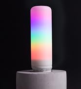 smart t10 edison style smart bulb