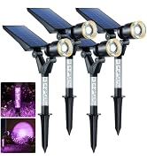 DenicMic Solar Spot Lights Outdoor Waterproof Purple Lens LED 4 Pack | Adjustable Angle Halloween...