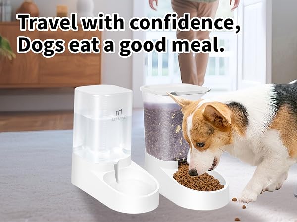 dog waterer