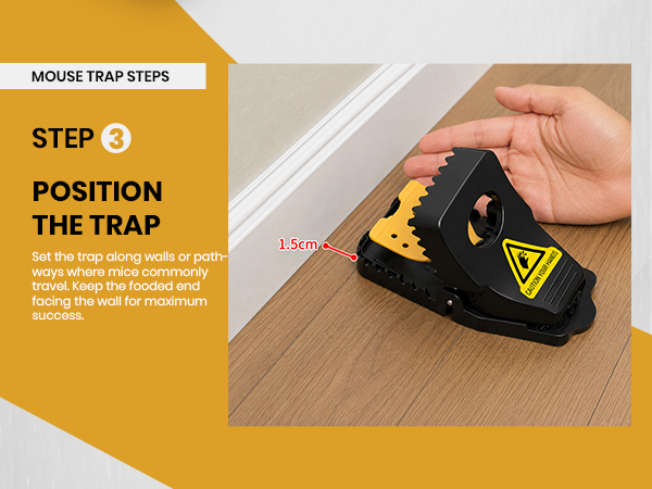 Mouse Traps