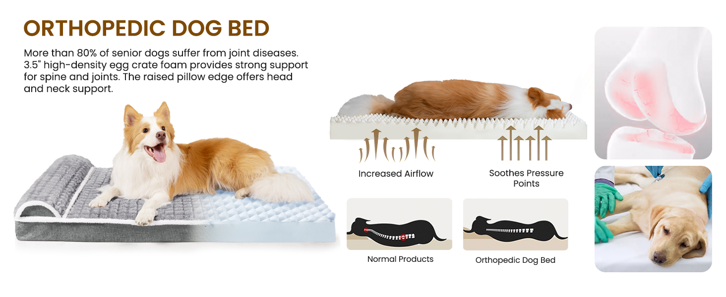 dog bed large sized dog