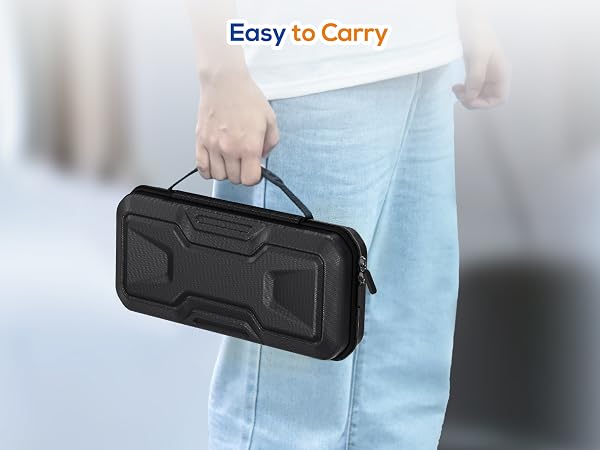 switch 2 travel case