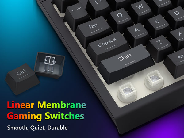 Mechanical keyboard