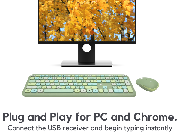 Wireless mouse and keyboard combo