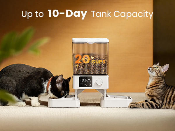 automatic cat feeder