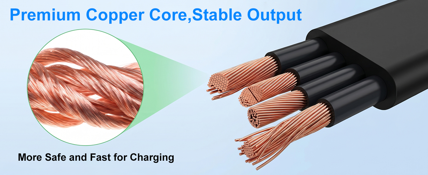 charging cable and adapter for blink