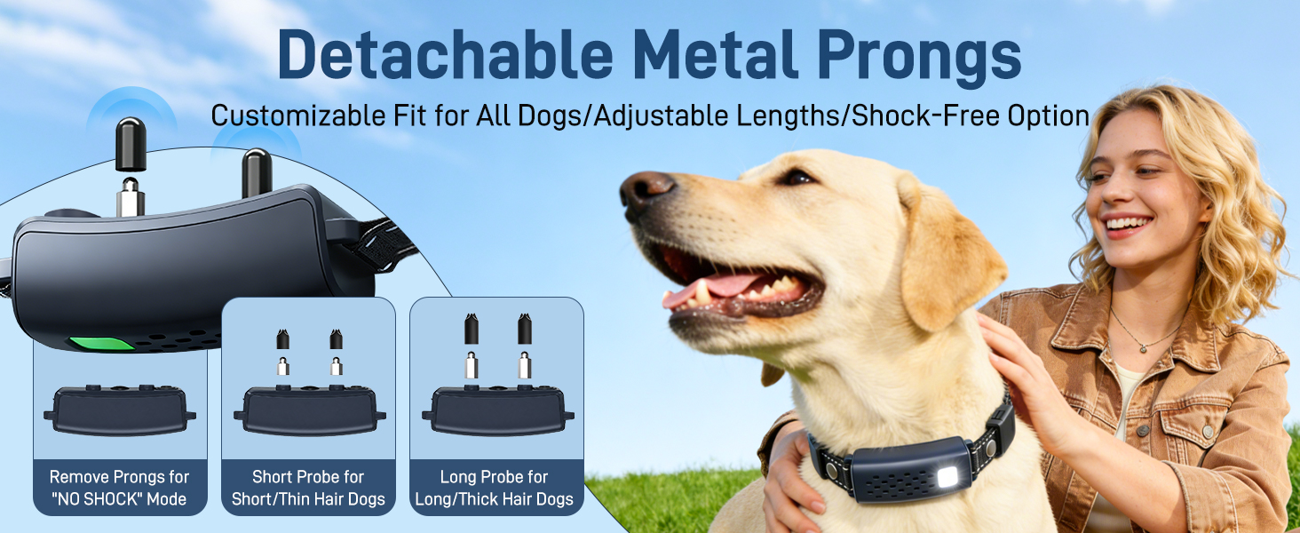 detachable metal prongs