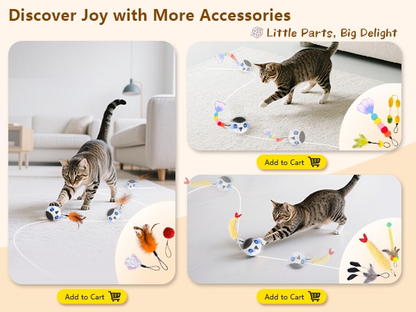 cat toys