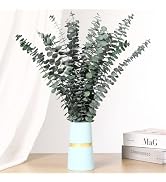 Jtoder 20 PCS Dried Eucalyptus Stems, 17'' Natural Real Live Greenery Eucalyptus Leaves Branches ...
