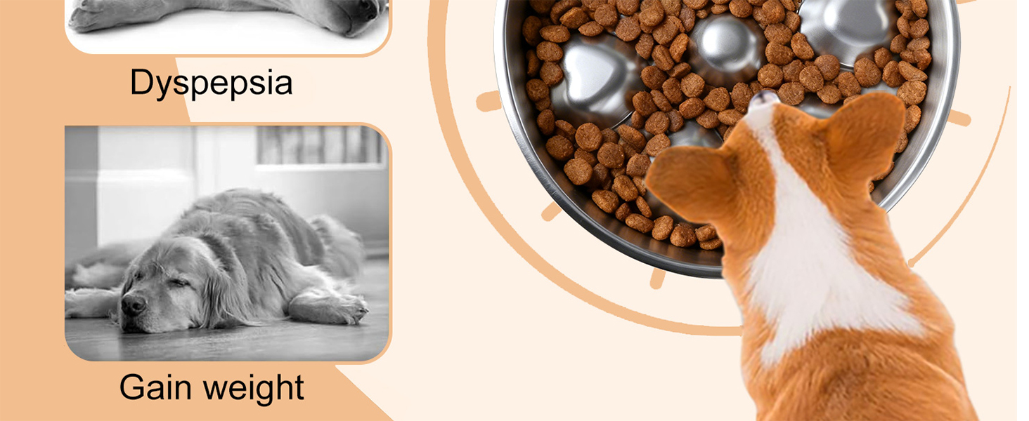 Stainless Steel Slow Feeder Dog Bowls