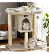 Cat Tree Tower Scratching Post for Indoor Large Cats, Small Cat Tree with Big Perch Bed, 28in Tal...