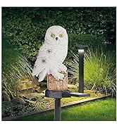 Owl Solar Garden Lights,Owl decor Garden Solar Light Outdoor Decor,Owl Path LED Lights,Solar Anim...