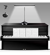 Piano Desk Lamp, 2-in-1 LED Piano Light for Upright Digital Grand Piano, 10W Flexible Gooseneck T...