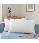 Acanva Premium Throw Pillow Inserts with Microfiber Filled, Lumbar Support Decorative Stuffer for...