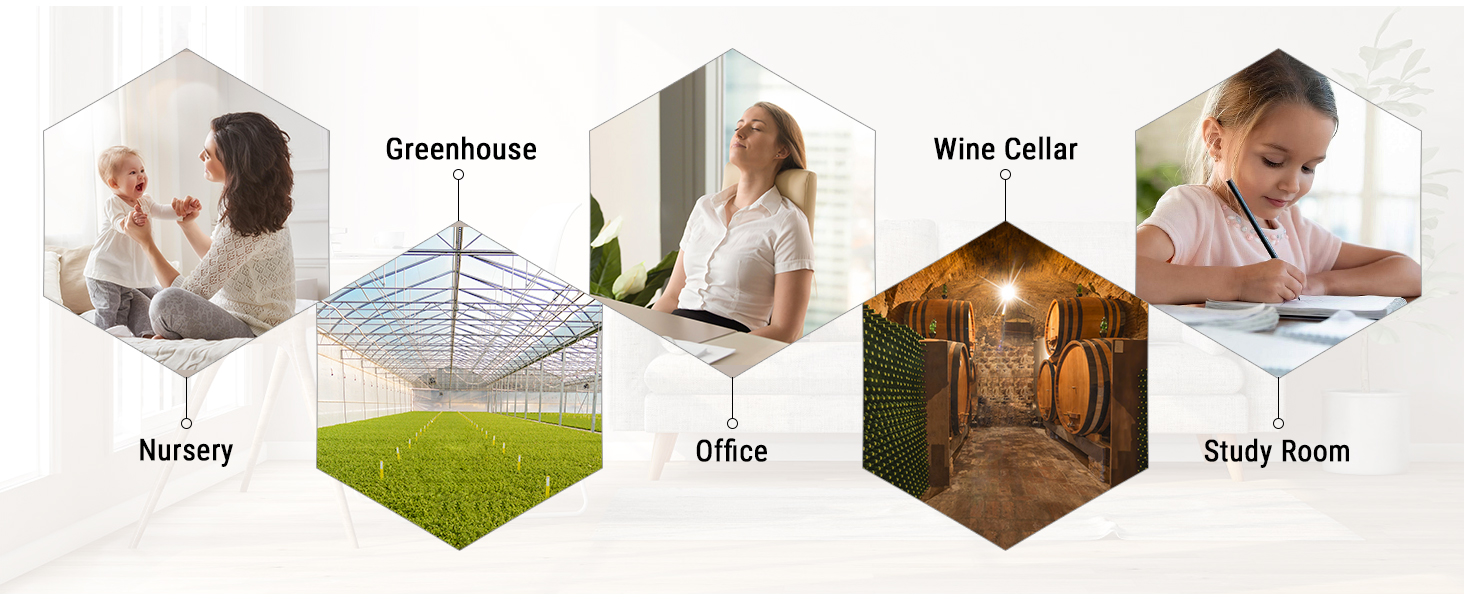 humidity thermometer