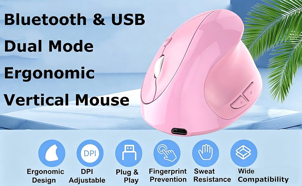 Carpal Tunnel Mice for Mac PC Laptop Computer Tablet iPad MacBook AirPro Women Mother Gift