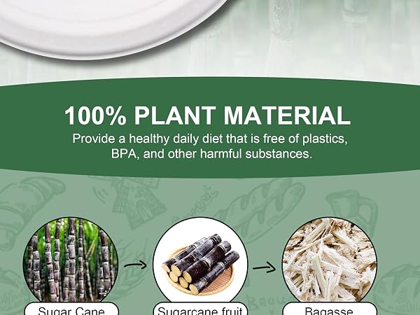 compostable plates