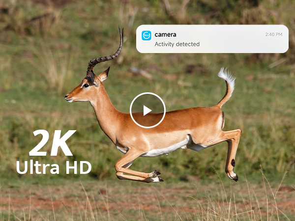 4G trail camera