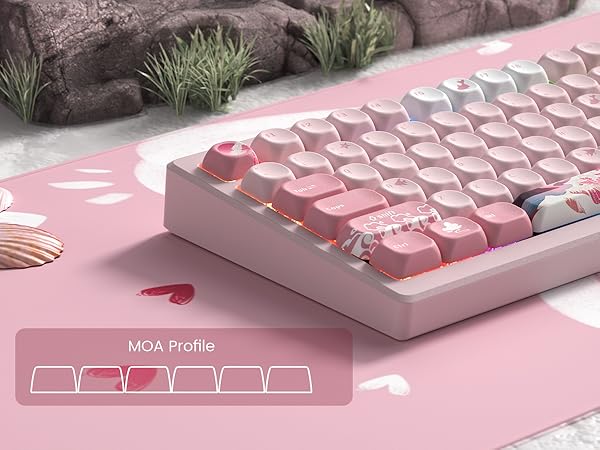 PBT Keycaps for Mechanical Keyboard,75 Percent Dye-Sublimation Custom Keycaps Set