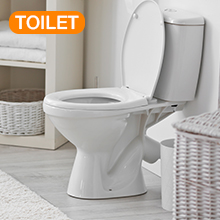 unclog your toilet