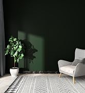 Green Peel and stick wallpaper