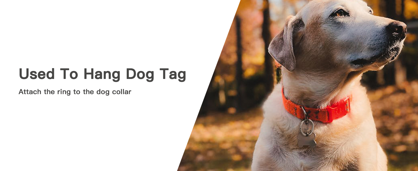 Used To Hang Dog Tag