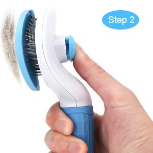 Step 2: Click the button.
