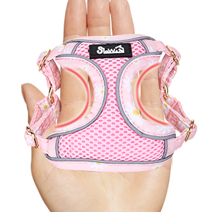Harness for Puppy