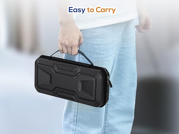 switch 2 travel case
