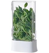 vacane Herb Keeper for Refrigerator, Fresh Herb Saver Herb Storage Containers, Cilantro Container...