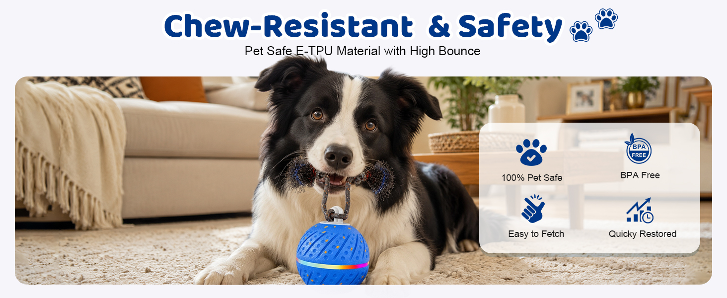 rolling dog ball