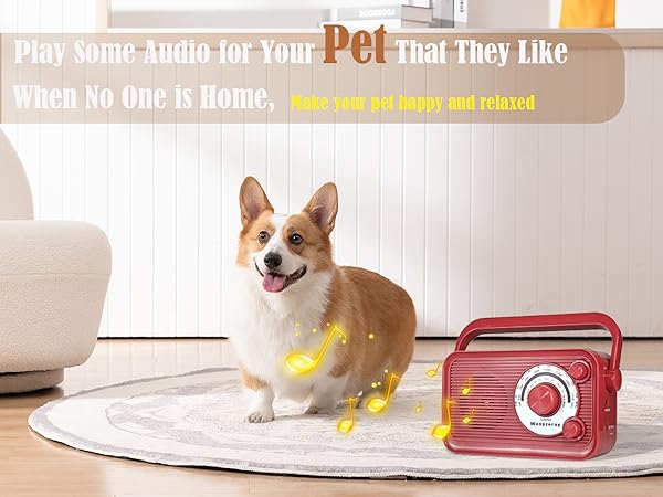 D218 portable radio for pet