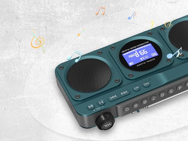 FM Bluetooth Speaker