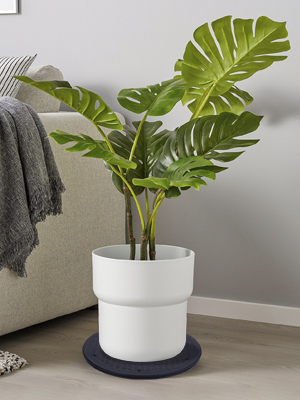 Plant Turntable