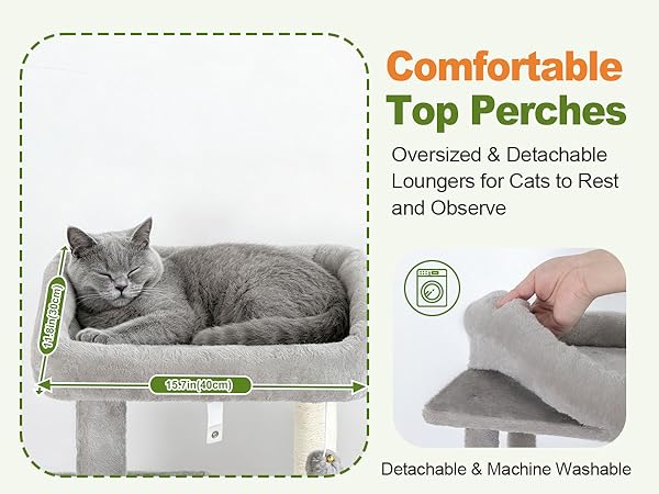 cat tower smalll