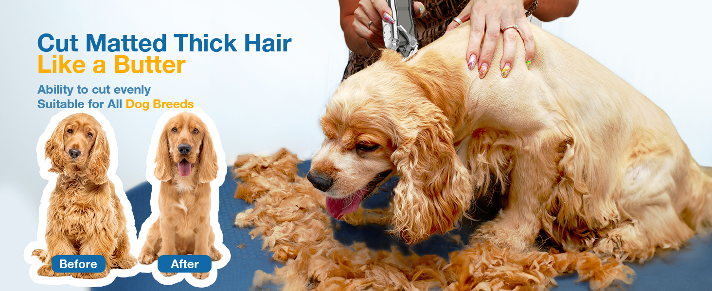 dog shaver