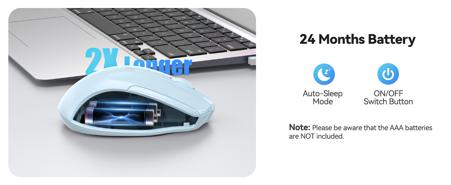 mouse