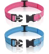 PaiPaitek Shock Collar Replacement Collar, Adjustable Dog Collar with Quick Release Buckle Nylon ...