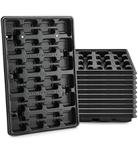 https://m.media-amazon.com/images/I/41J-EcfuQcL.__AC_SR200,225___.jpg
