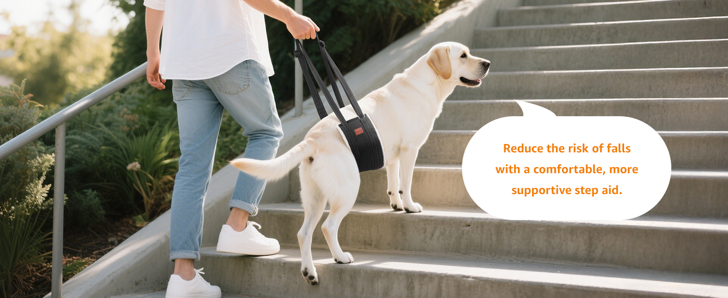 dog lifting harness
