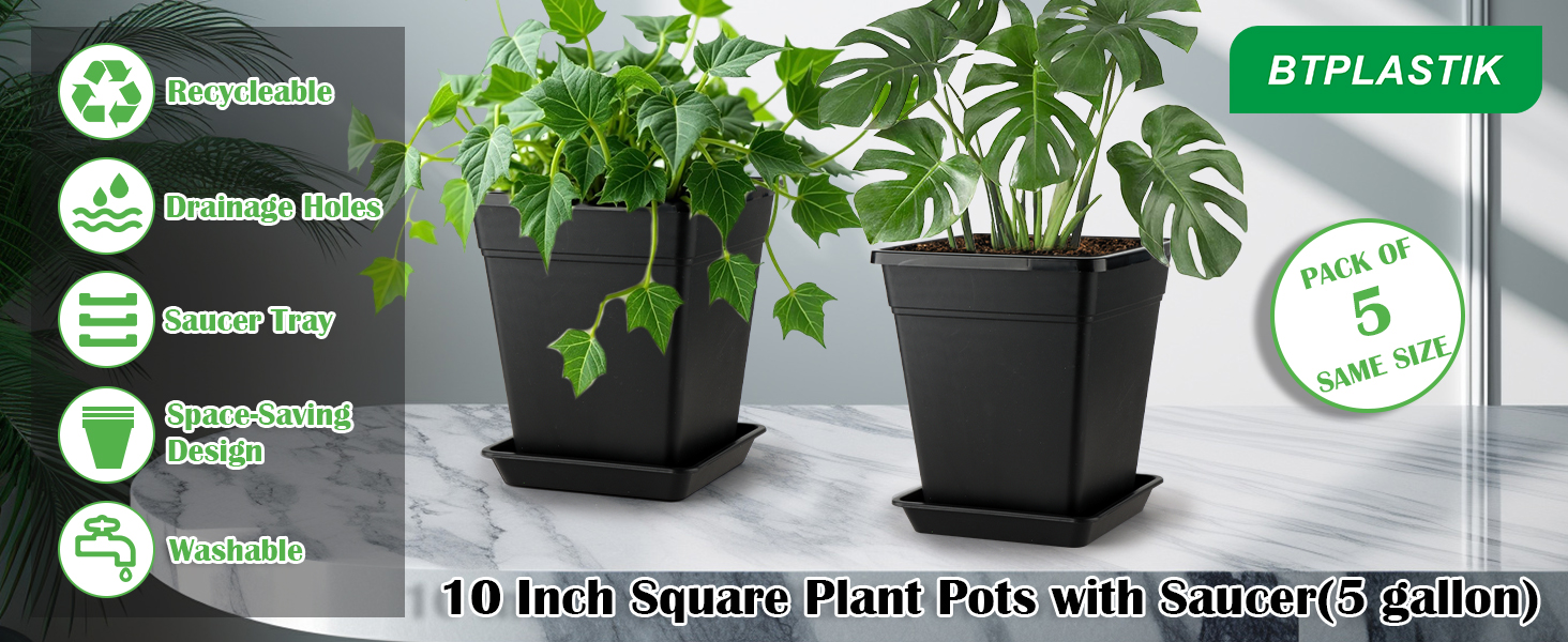 plant pots